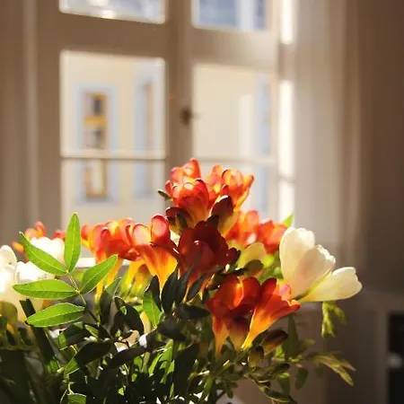 Aparthotel Albus