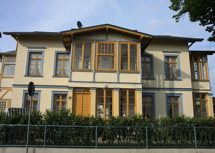 Albus Херингсдорф