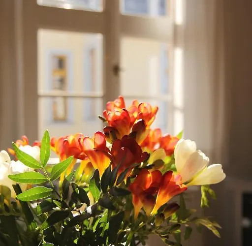 Апарт-отель Albus